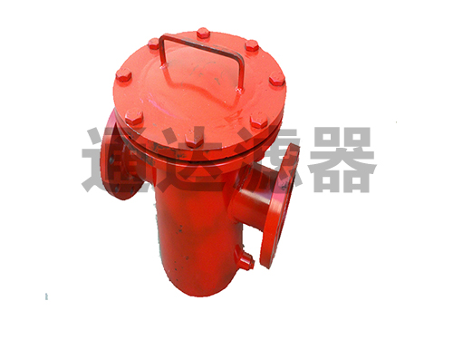 籃式過(guò)濾器DN100